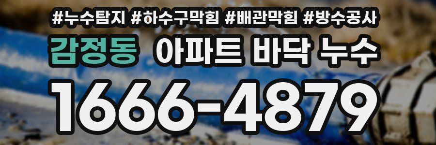 감정동 아파트 바닥 누수