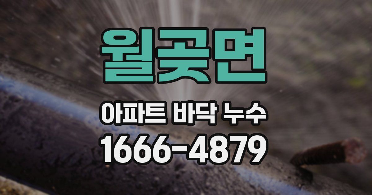 월곶면 아파트 바닥 누수