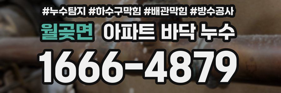 월곶면 아파트 바닥 누수