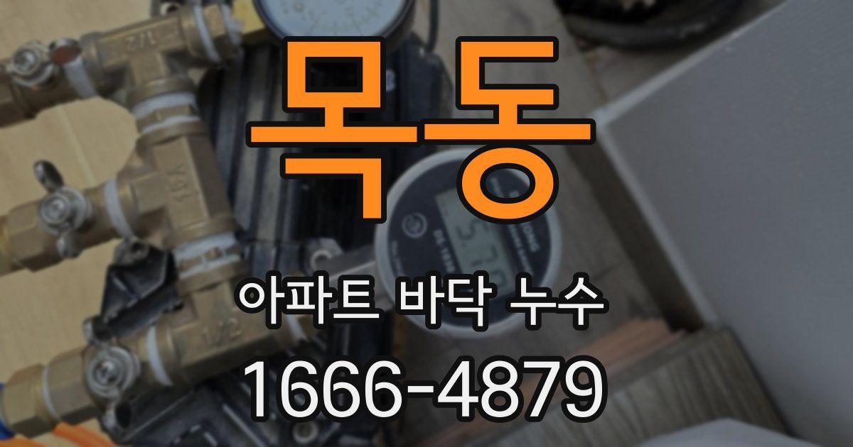 목동 아파트 바닥 누수