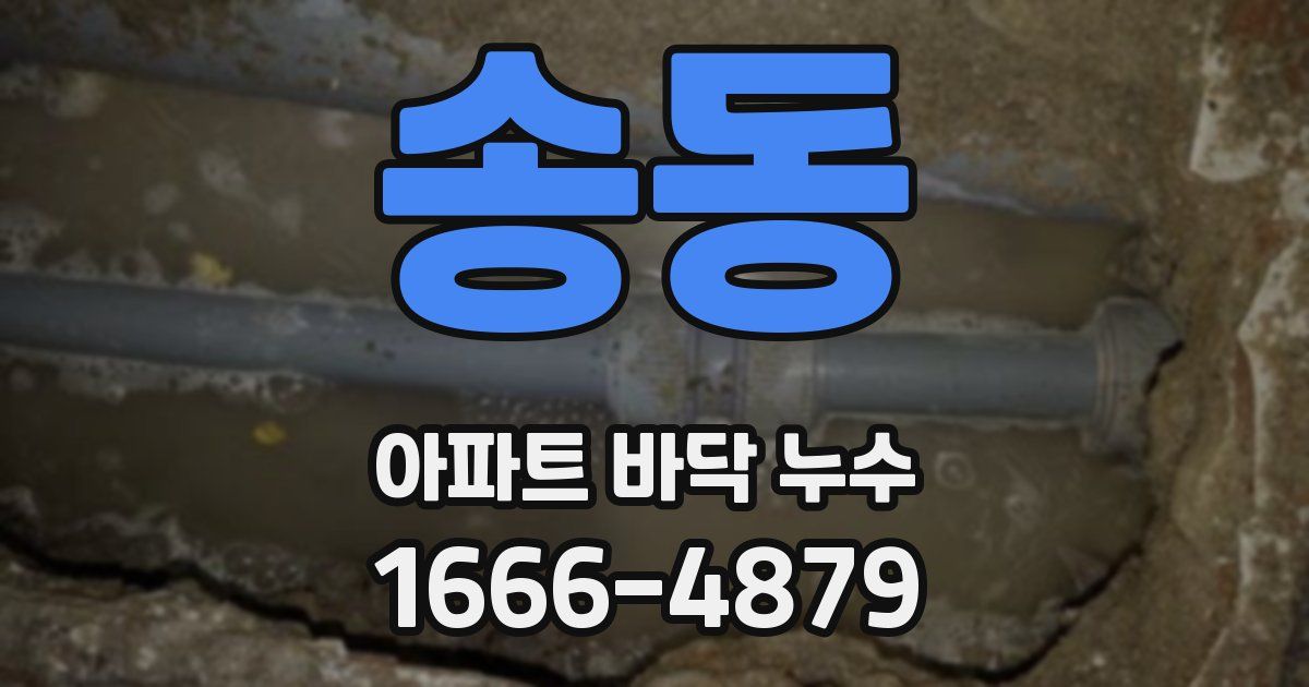 송동 아파트 바닥 누수
