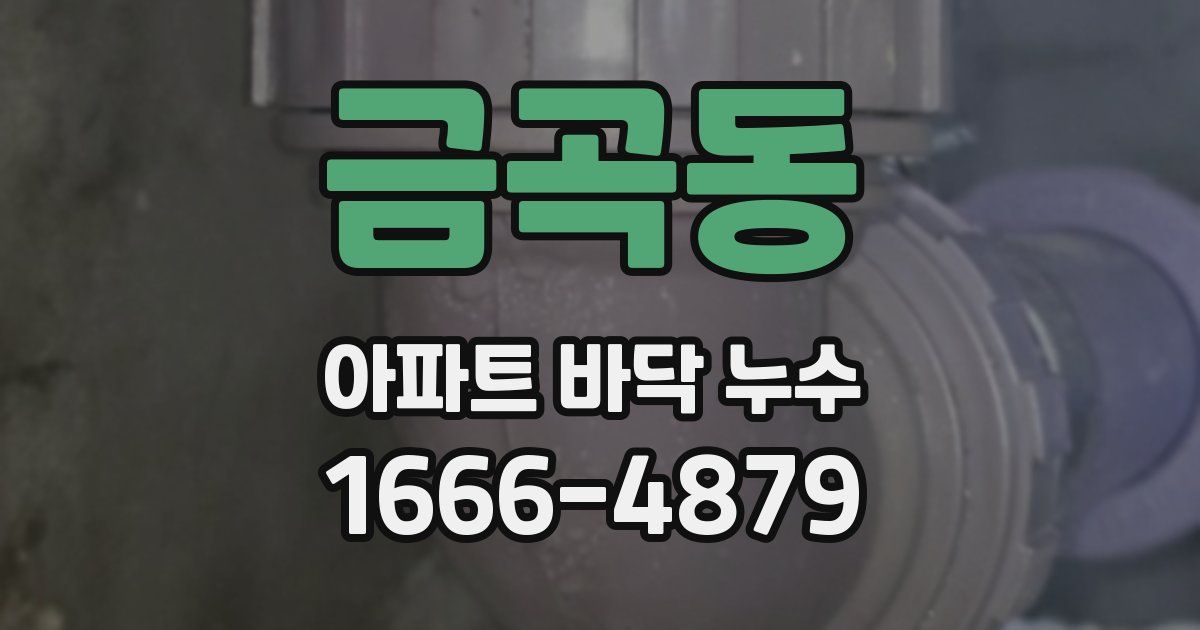 금곡동 아파트 바닥 누수