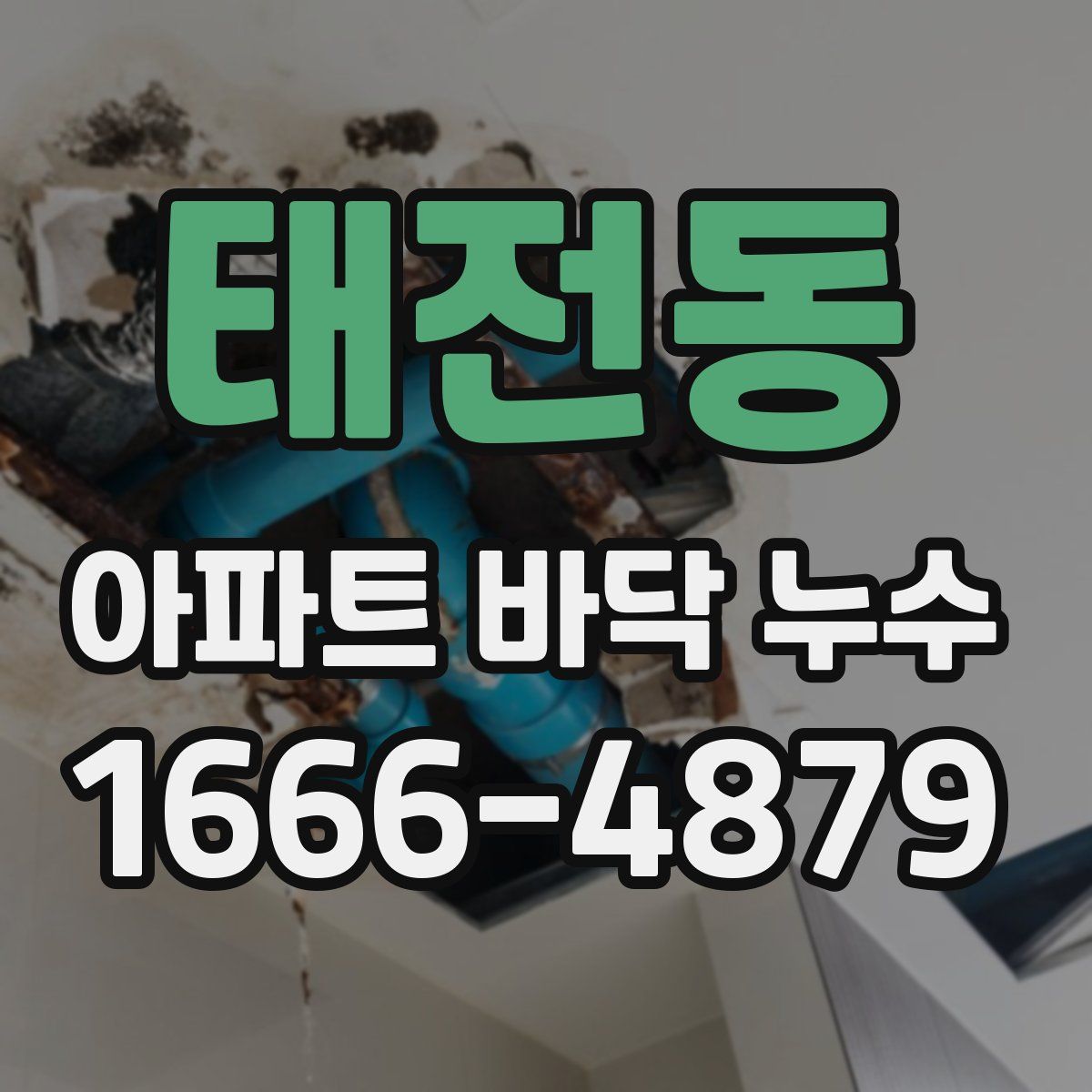 태전동 아파트 바닥 누수