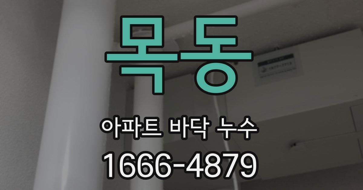 목동 아파트 바닥 누수