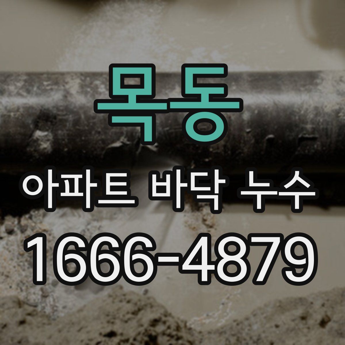 목동 아파트 바닥 누수