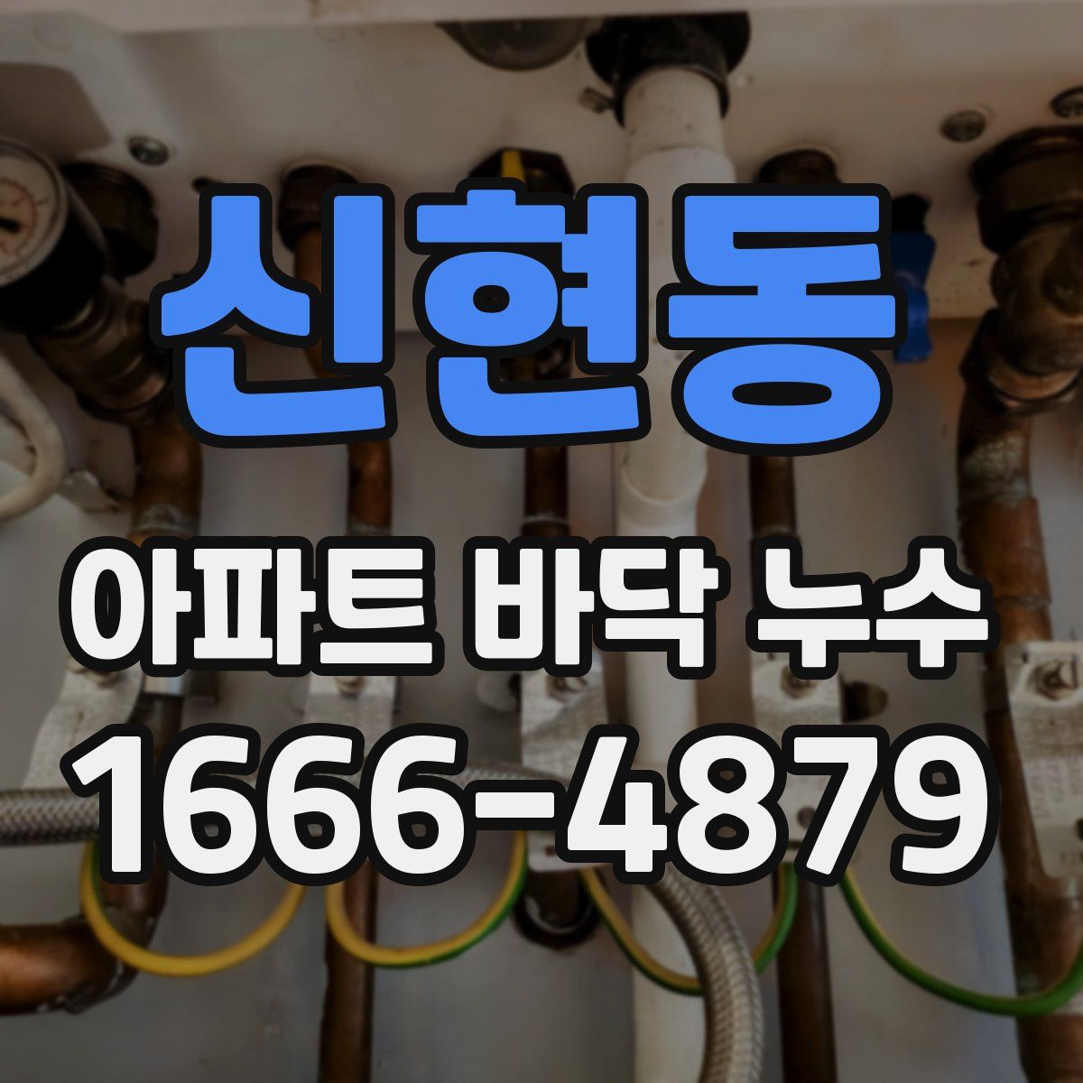 신현동 아파트 바닥 누수
