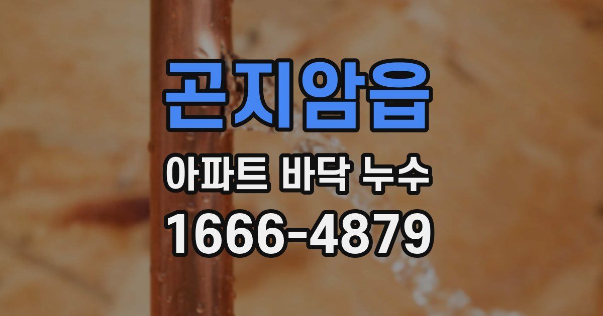 곤지암읍 아파트 바닥 누수