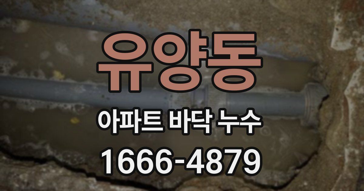 유양동 아파트 바닥 누수
