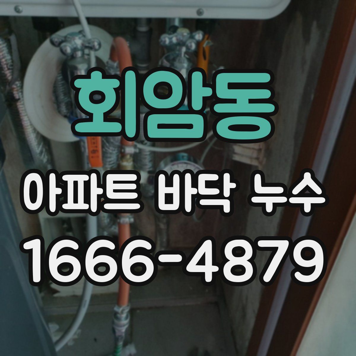 회암동 아파트 바닥 누수