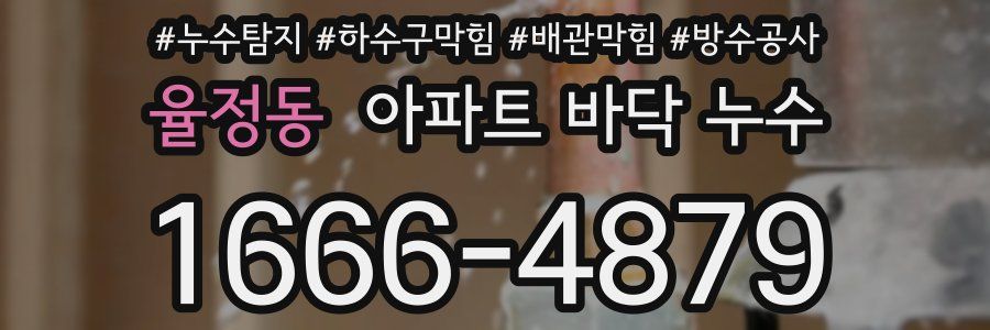 율정동 아파트 바닥 누수