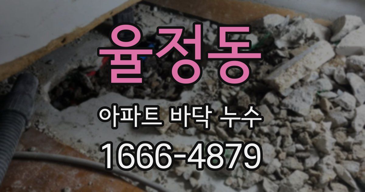율정동 아파트 바닥 누수