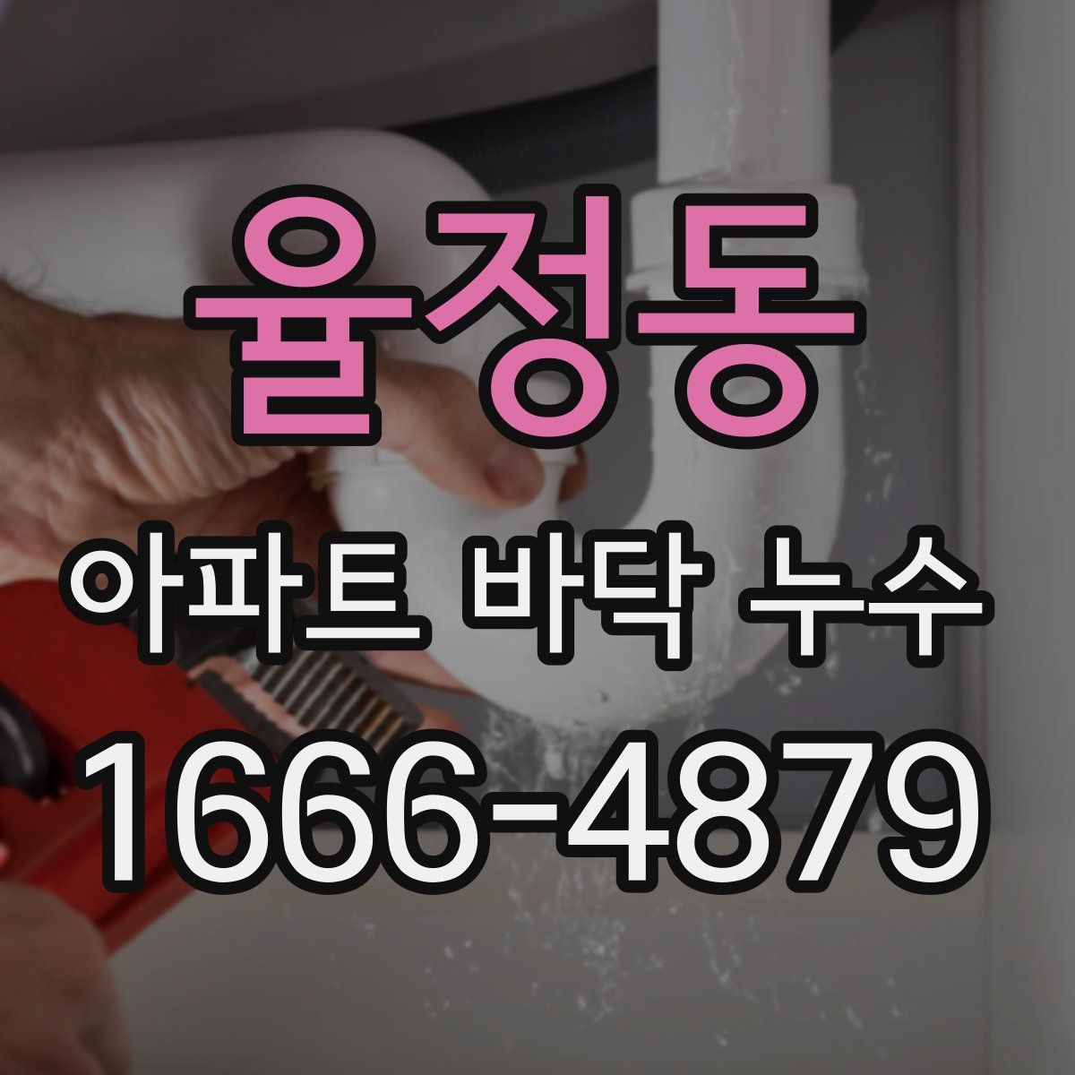 율정동 아파트 바닥 누수