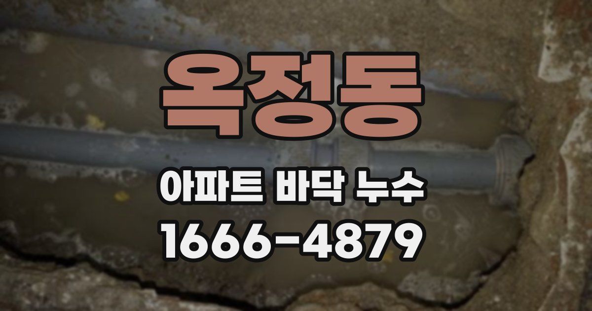 옥정동 아파트 바닥 누수