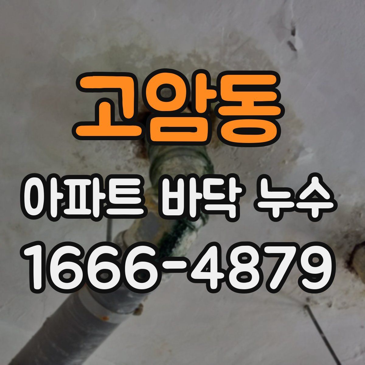 고암동 아파트 바닥 누수