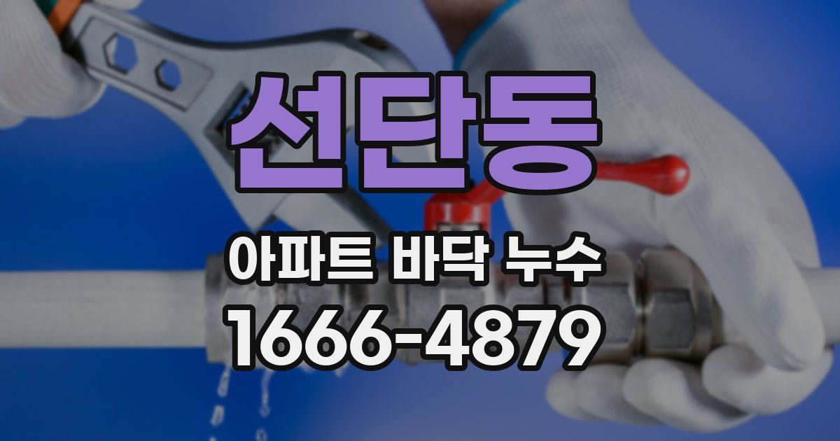 선단동 아파트 바닥 누수