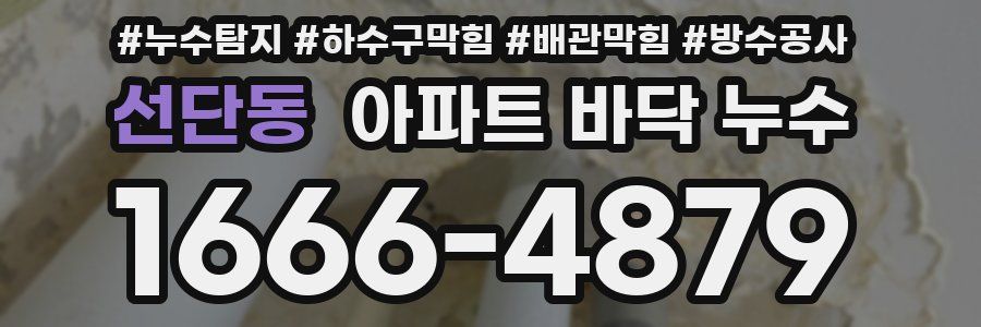 선단동 아파트 바닥 누수