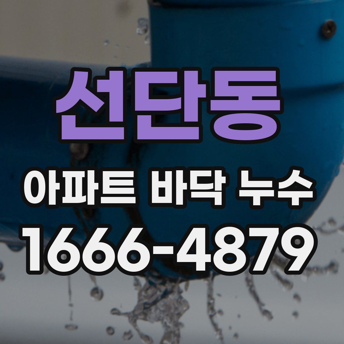 선단동 아파트 바닥 누수