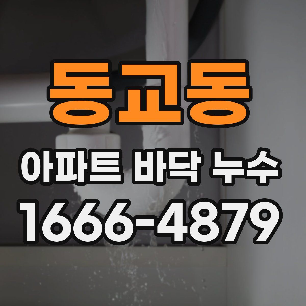 동교동 아파트 바닥 누수