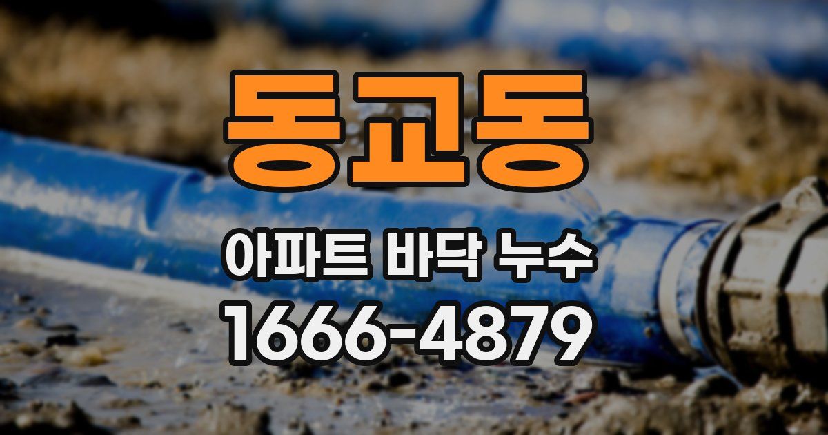 동교동 아파트 바닥 누수