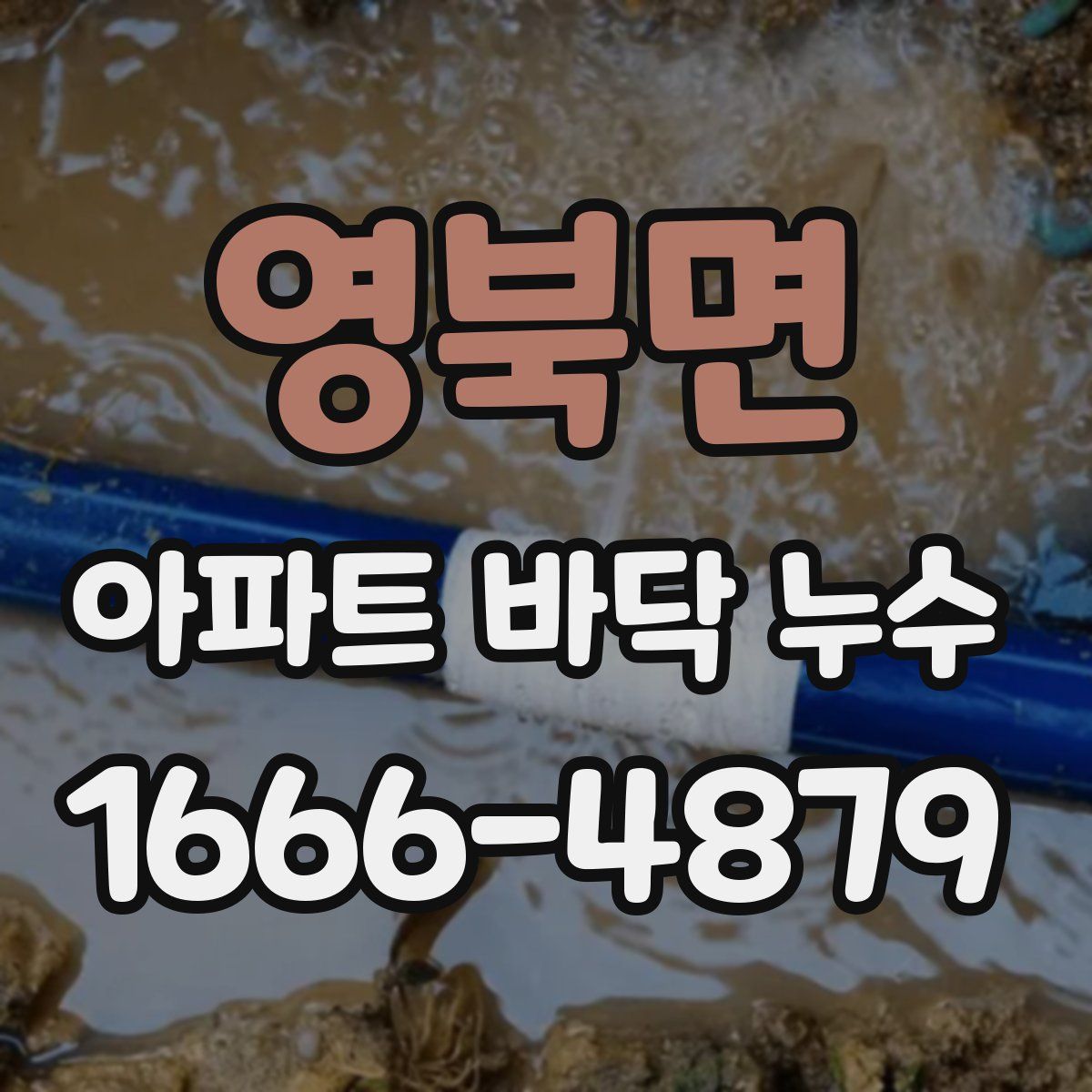 영북면 아파트 바닥 누수