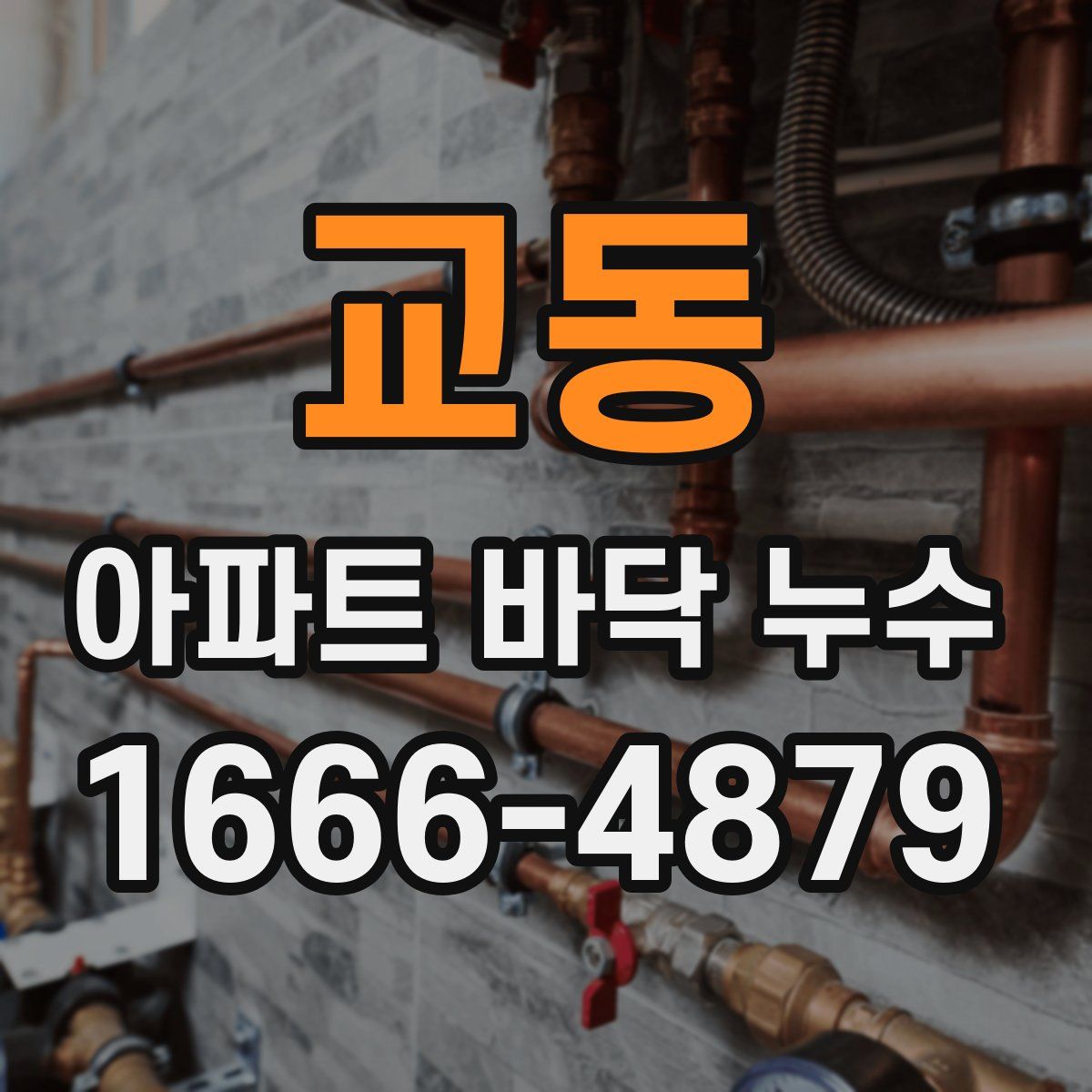 교동 아파트 바닥 누수