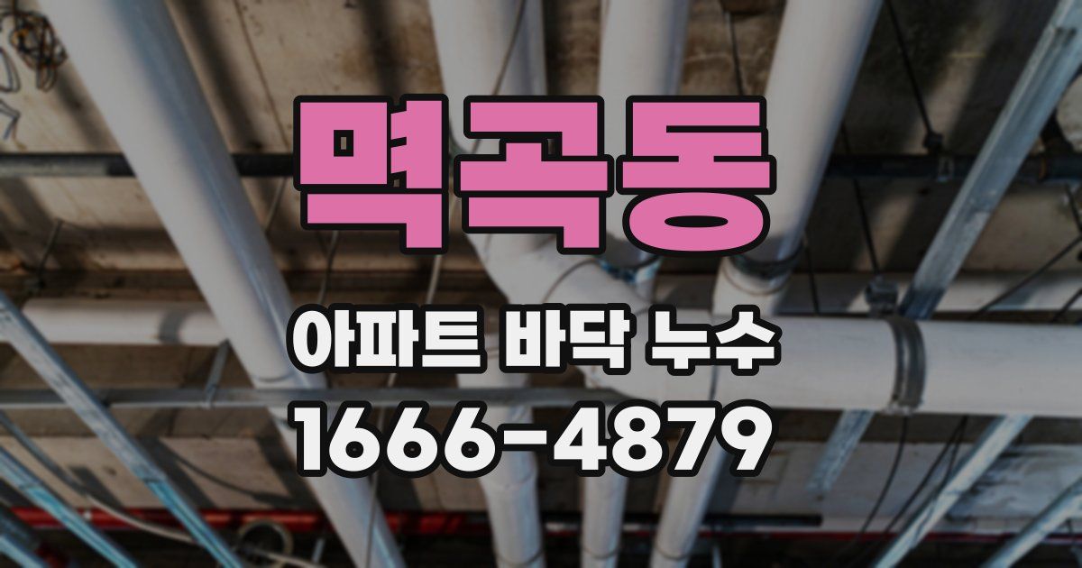 멱곡동 아파트 바닥 누수