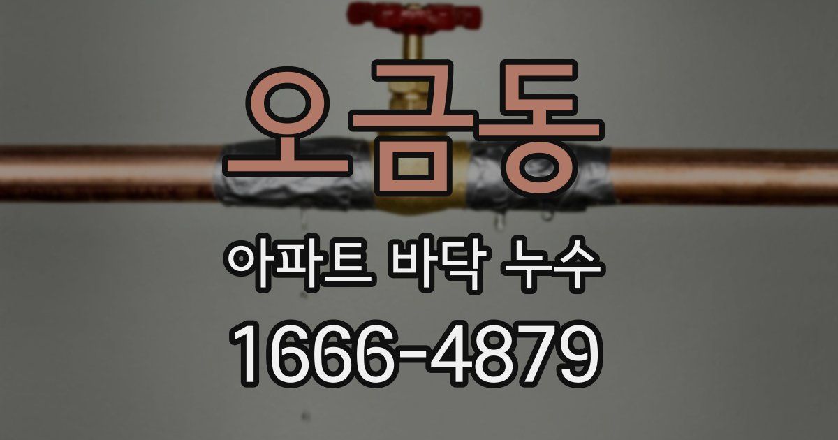 오금동 아파트 바닥 누수