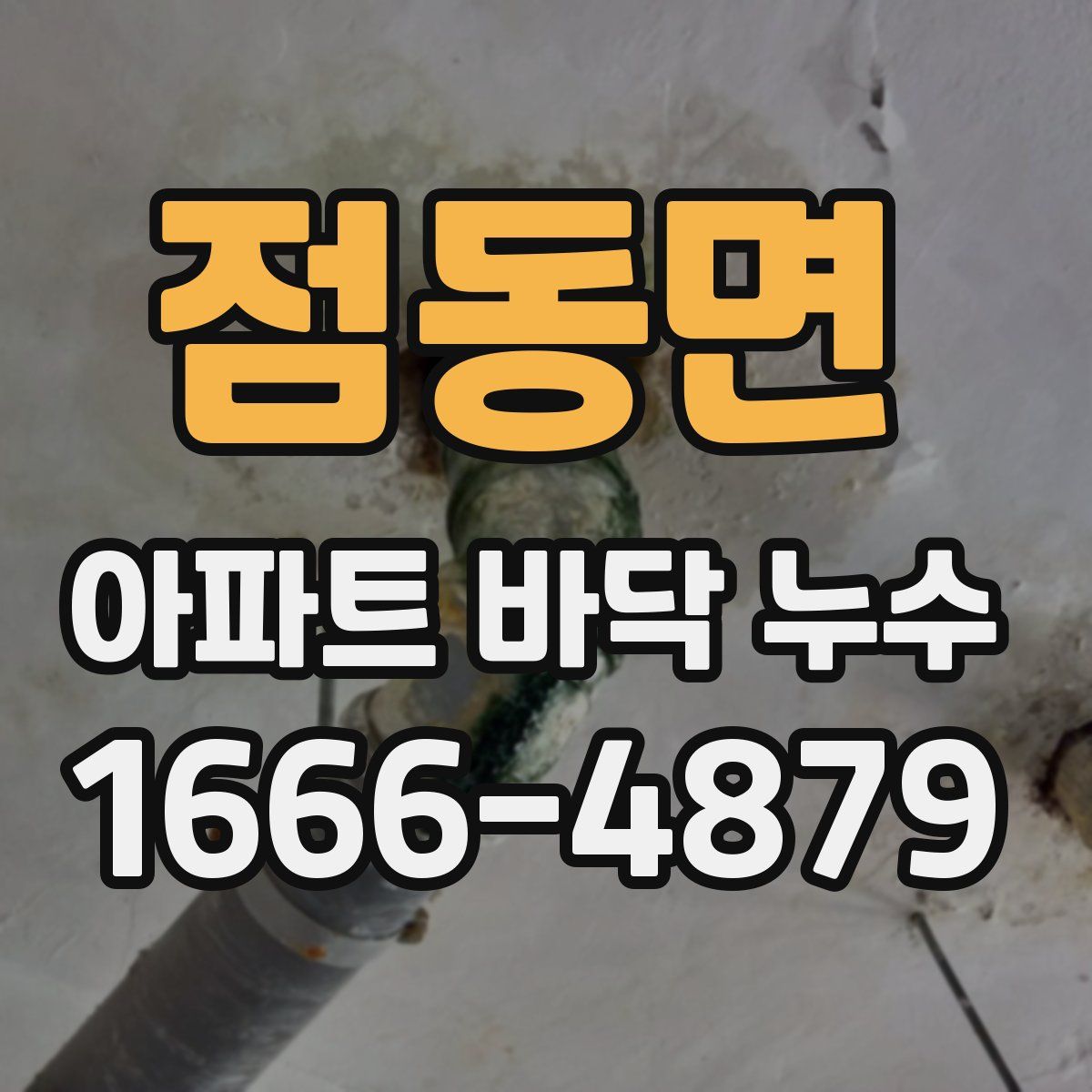 점동면 아파트 바닥 누수
