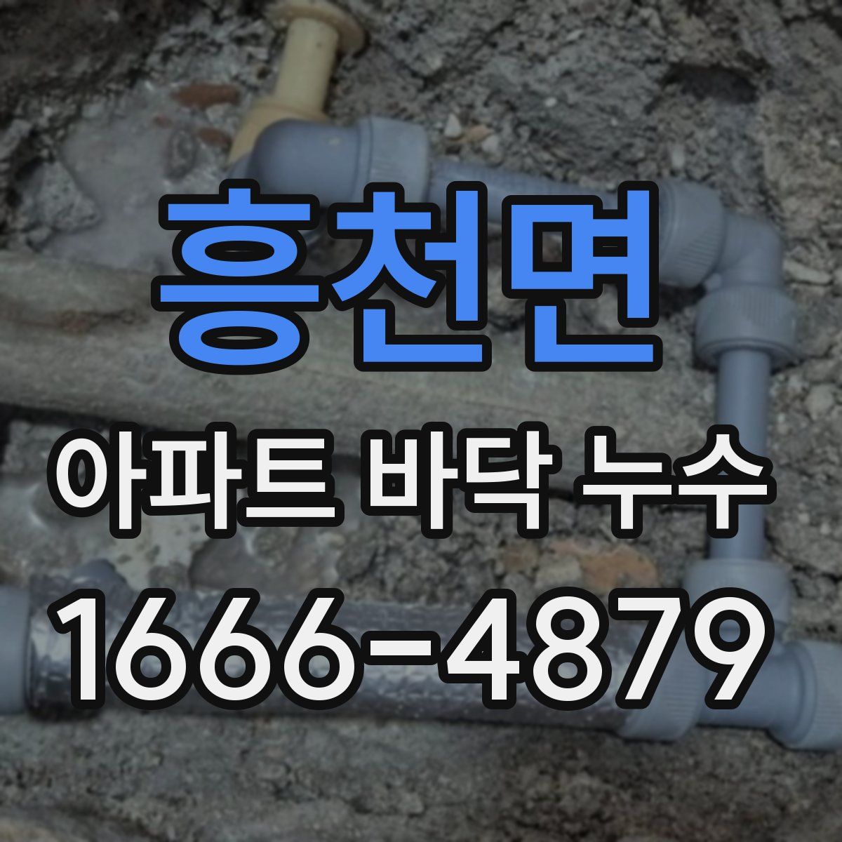 흥천면 아파트 바닥 누수