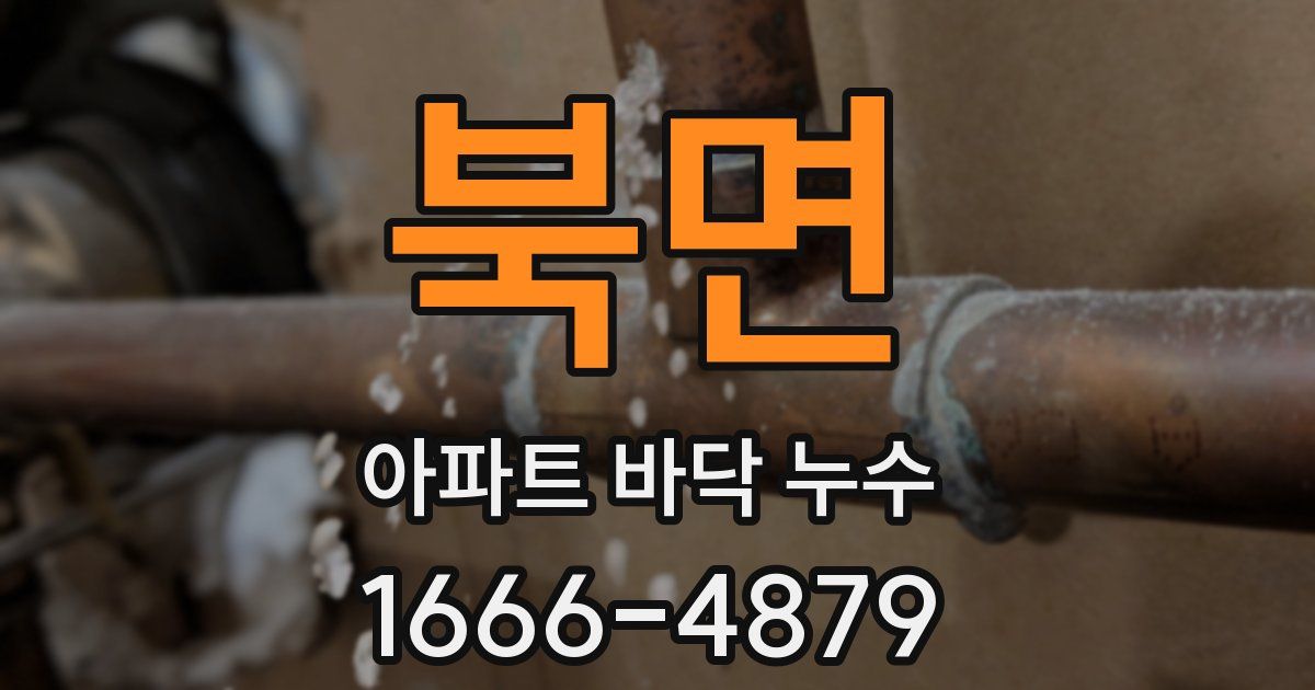 북면 아파트 바닥 누수