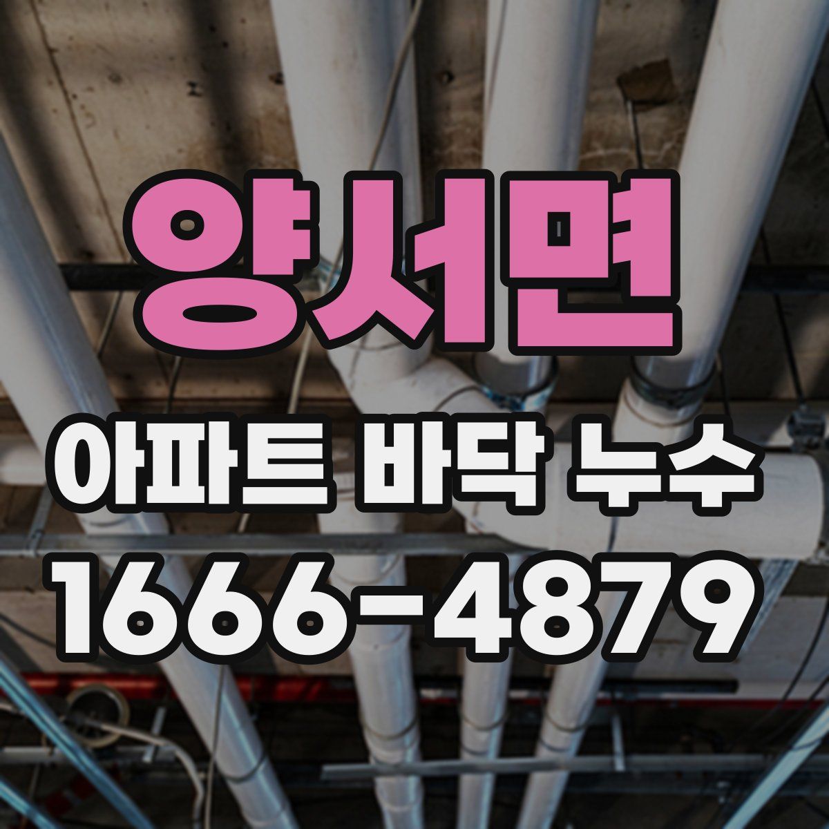 양서면 아파트 바닥 누수