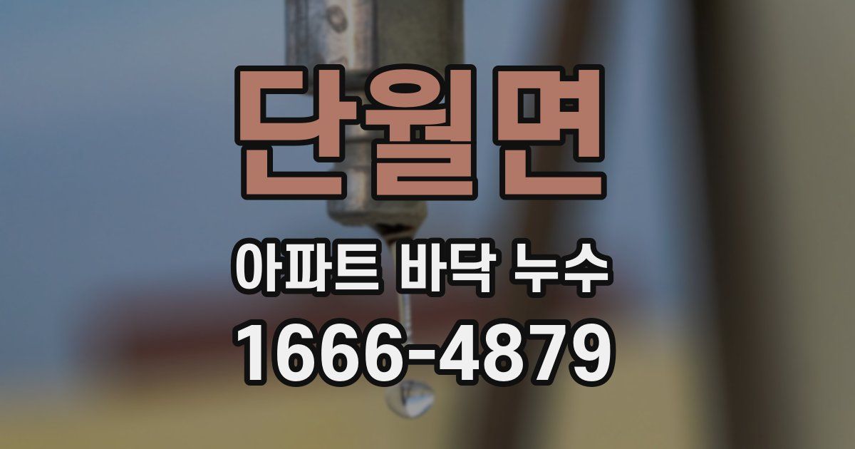 단월면 아파트 바닥 누수