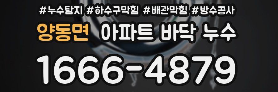 양동면 아파트 바닥 누수
