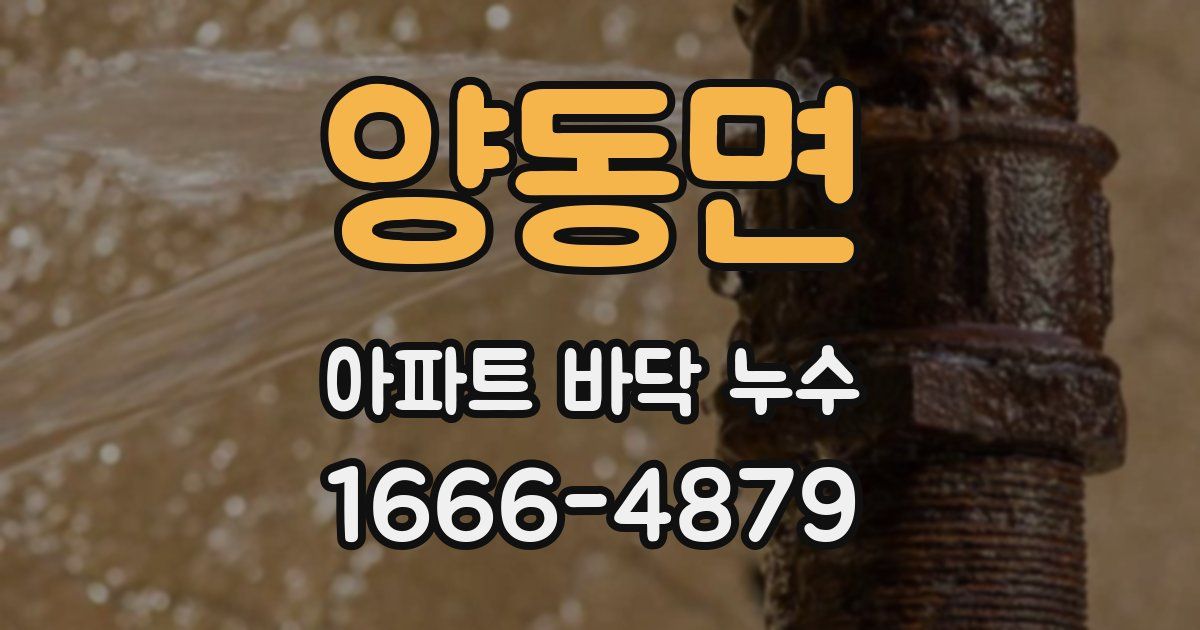 양동면 아파트 바닥 누수