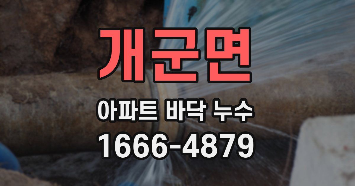 개군면 아파트 바닥 누수