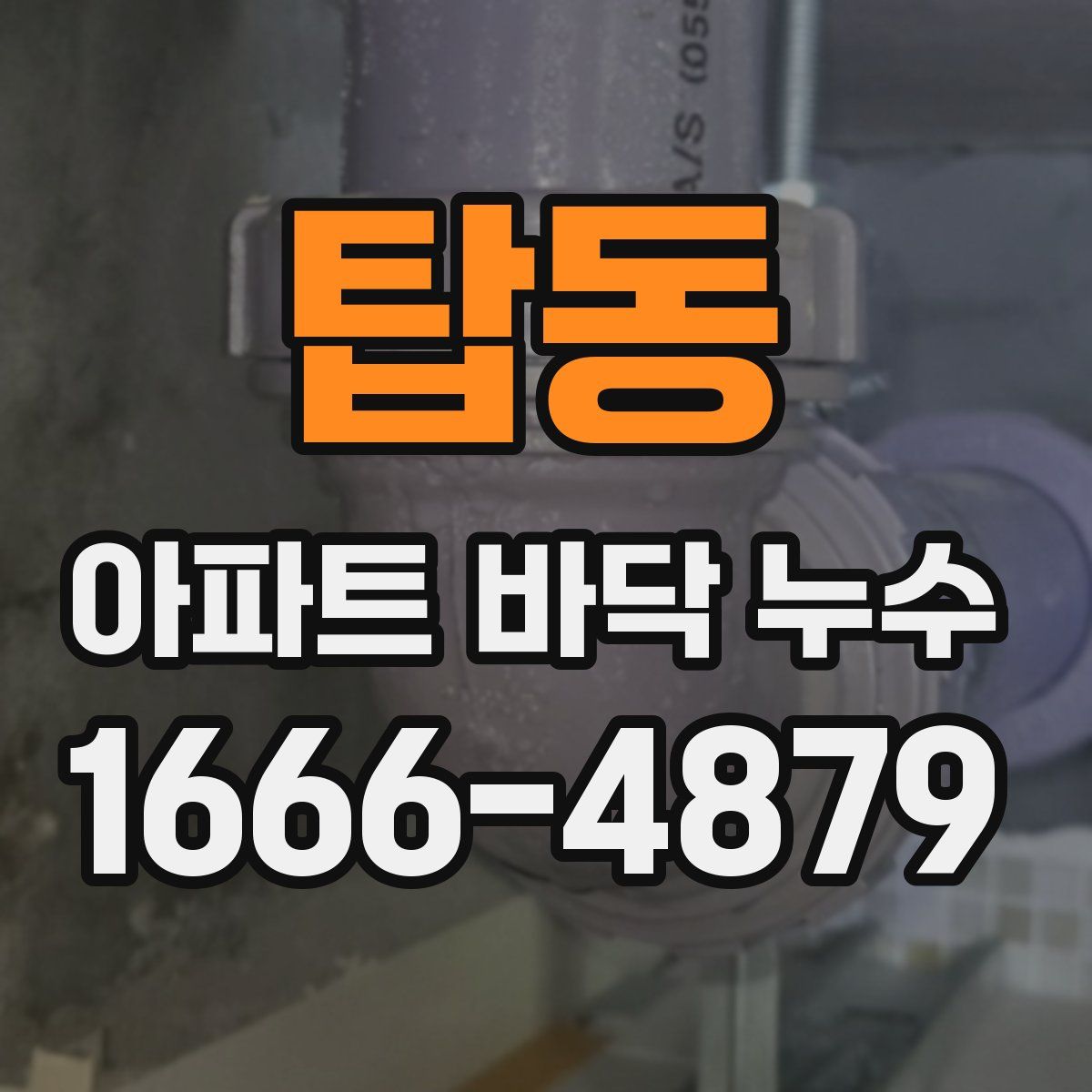 탑동 아파트 바닥 누수