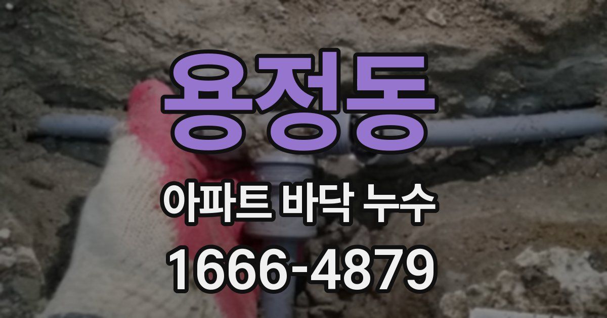 용정동 아파트 바닥 누수