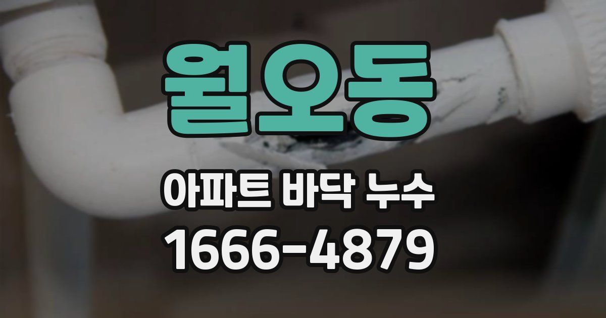월오동 아파트 바닥 누수
