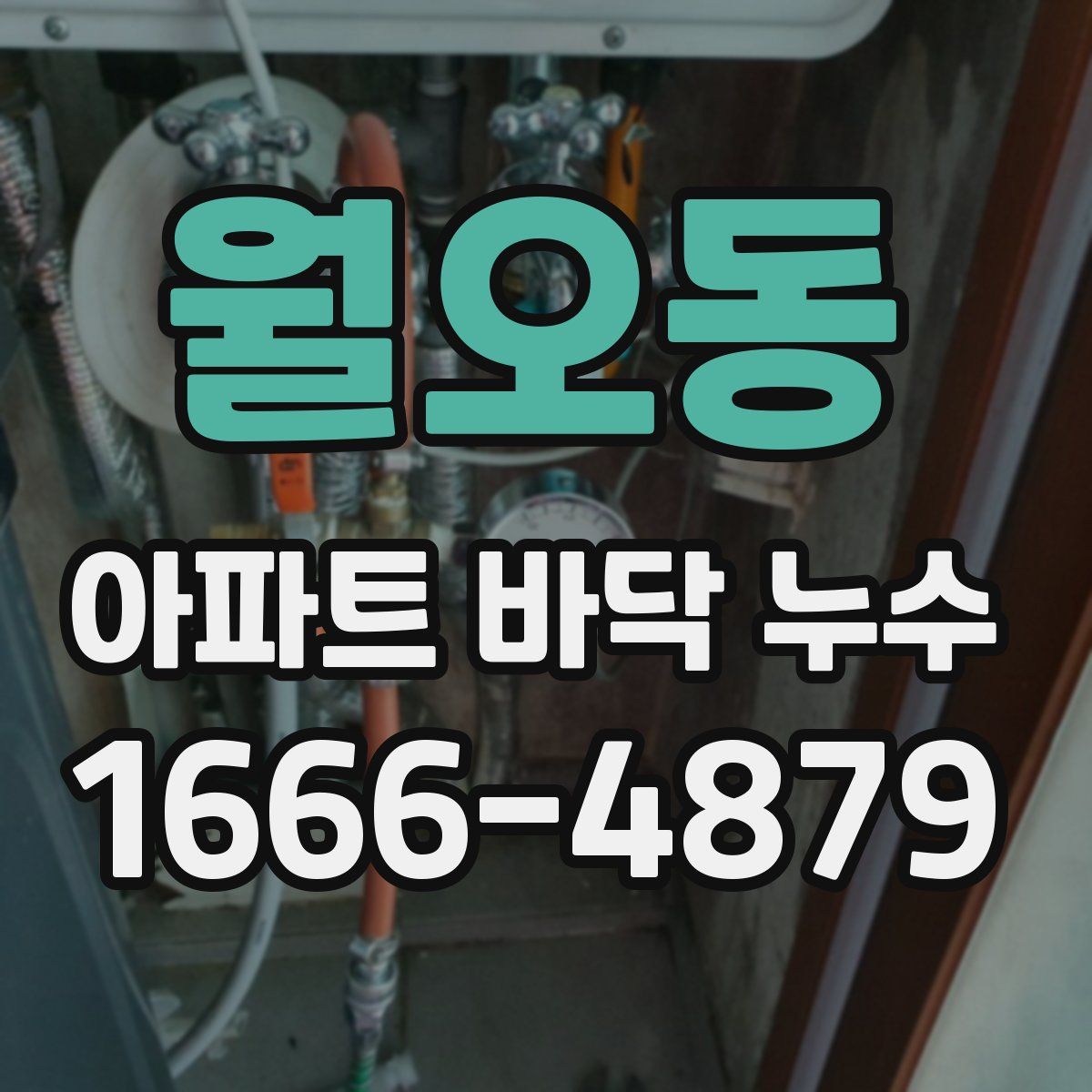 월오동 아파트 바닥 누수