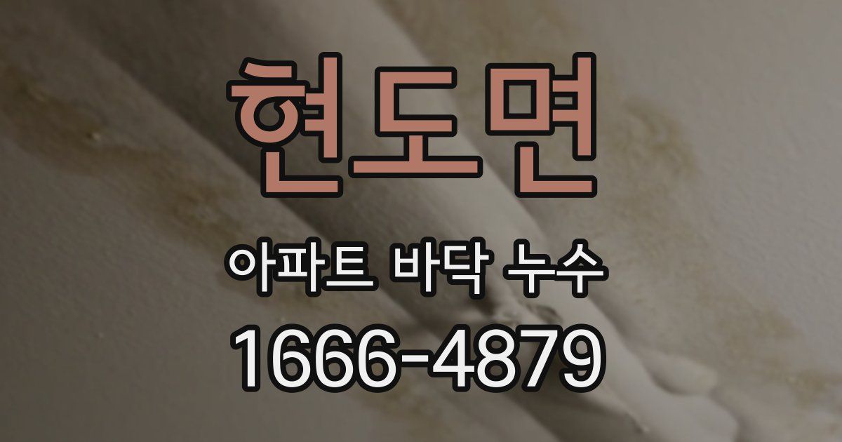 현도면 아파트 바닥 누수