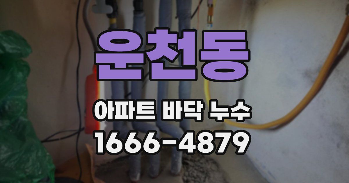 운천동 아파트 바닥 누수