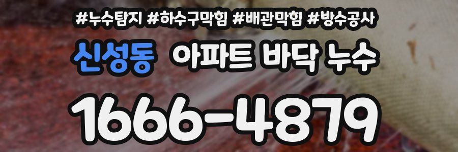 신성동 아파트 바닥 누수