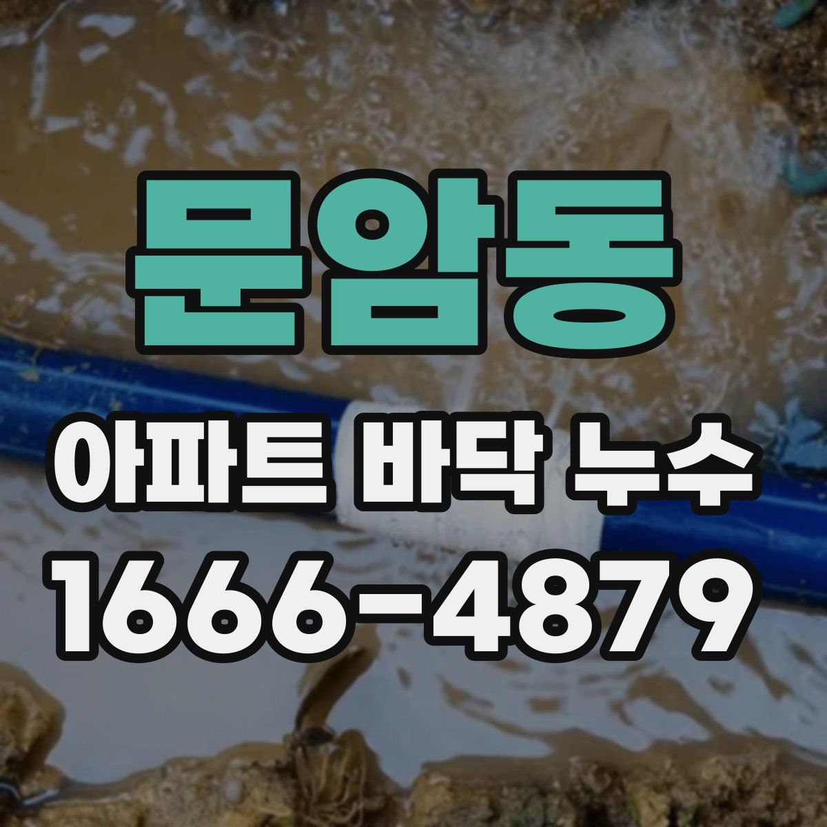 문암동 아파트 바닥 누수
