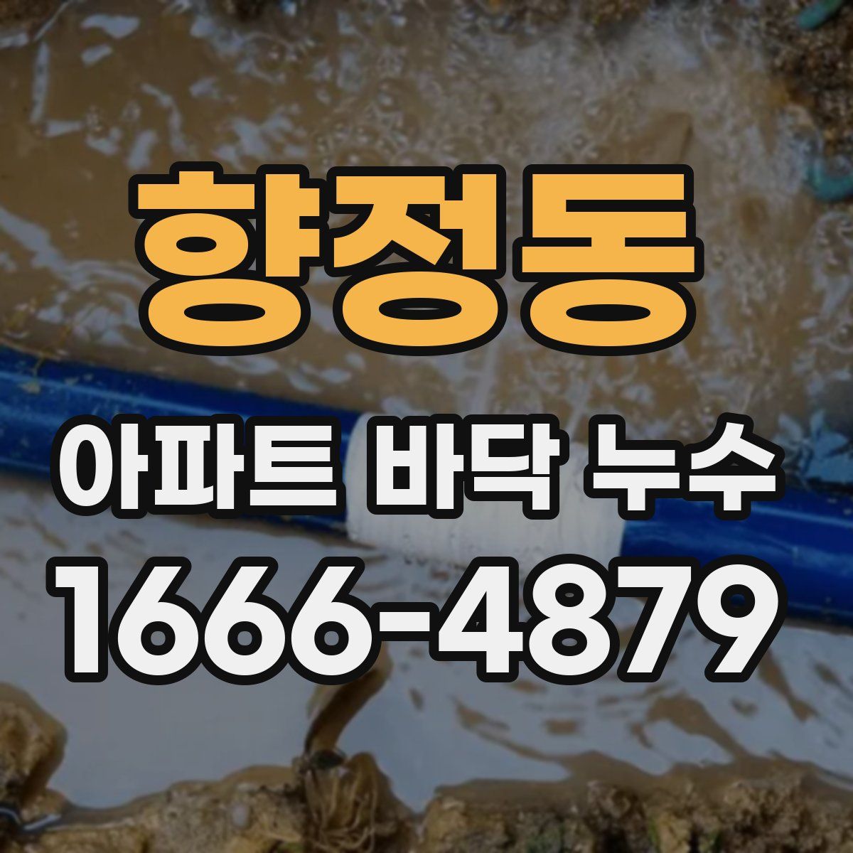 향정동 아파트 바닥 누수