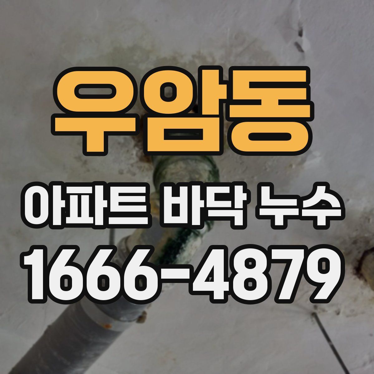 우암동 아파트 바닥 누수