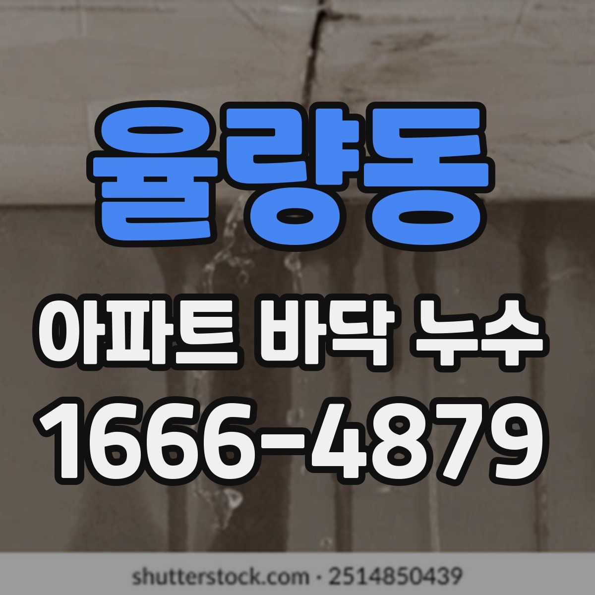 율량동 아파트 바닥 누수