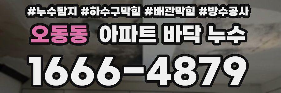 오동동 아파트 바닥 누수