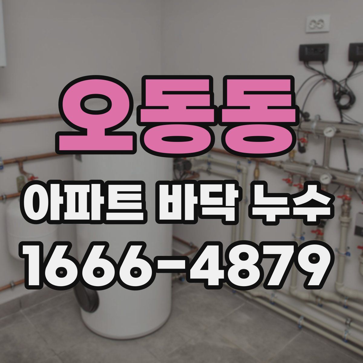 오동동 아파트 바닥 누수