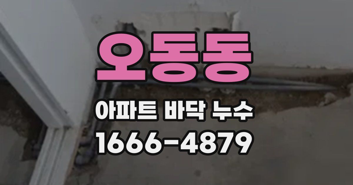 오동동 아파트 바닥 누수