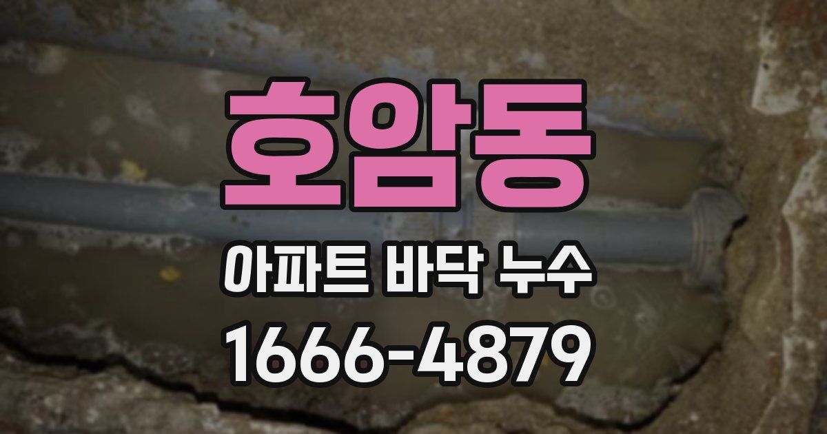 호암동 아파트 바닥 누수